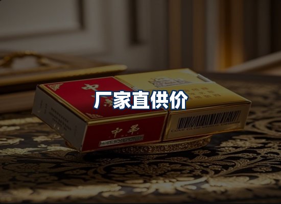 专业团队办公环境